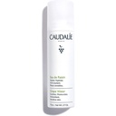 CAUDALIE DEMAQUILL Eau de Raisin 2021 75 ml