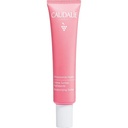CAUDALIE VINOSOURCE Hydra Cr Sorbet Hydrat 40 ml