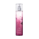 CAUDALIE VINOTHERAP Thé Vignes Eau Fraiche 50 ml