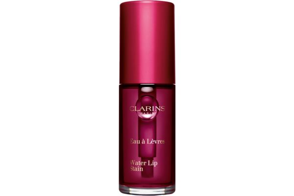 CLARINS Water Lip Stain No 04