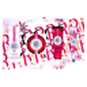 ROGER GALLET GING RO Coffret Noël 2023 4 pce