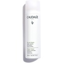 CAUDALIE DEMAQUILL Eau de Raisin 2021 200 ml