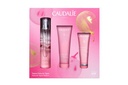 CAUDALIE Noël 2023 Rose de Vigne 3 pce
